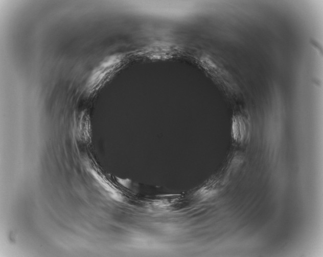 X0000102491444200808151444