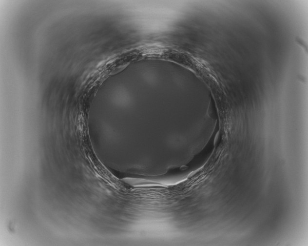X0000102491445200808151444