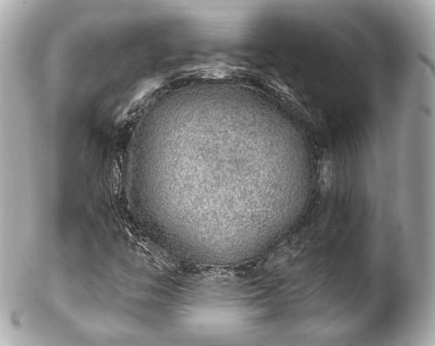 X0000102491446200808151444
