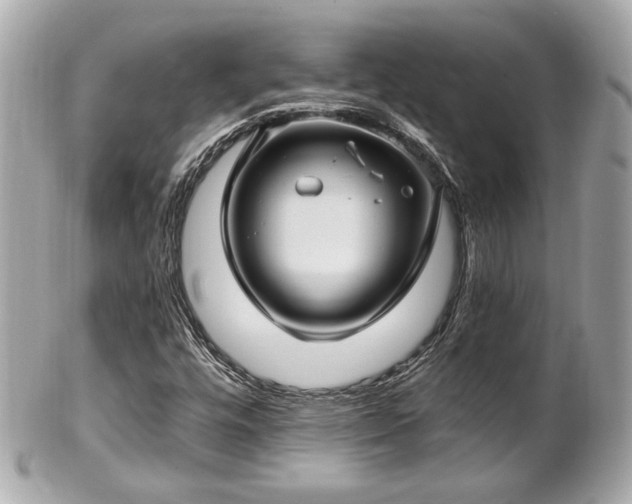 X0000102491448200808151444