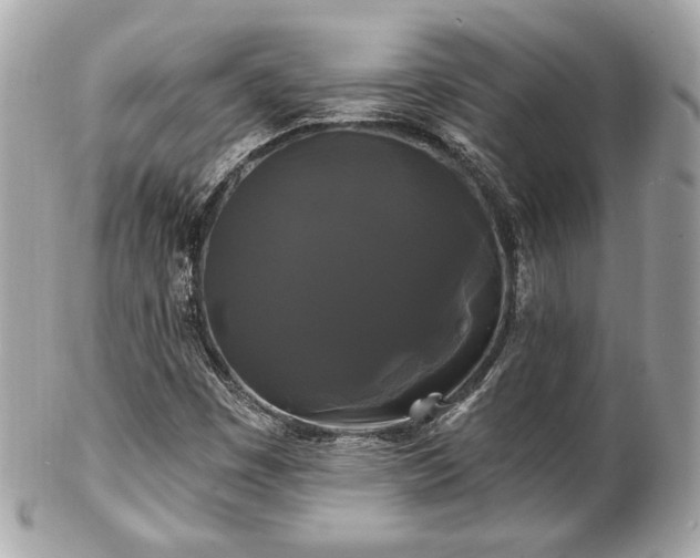 X0000102491449200808151444