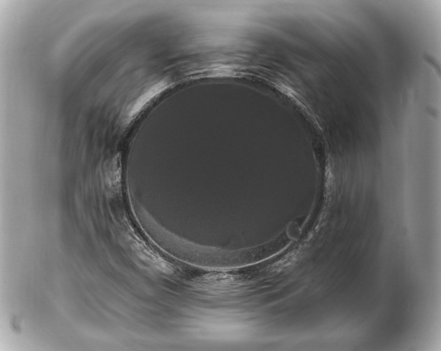 X0000102491450200808151444