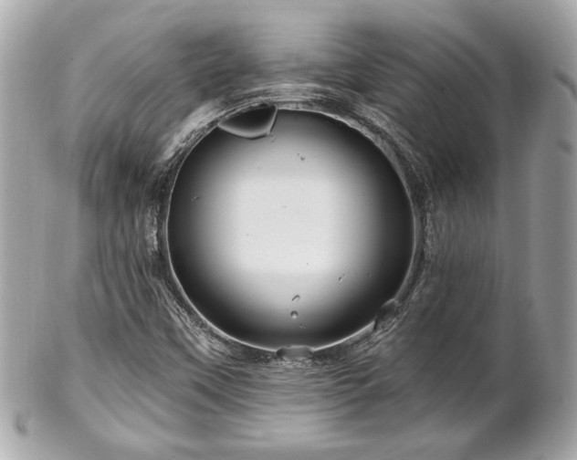 X0000102491451200808151444