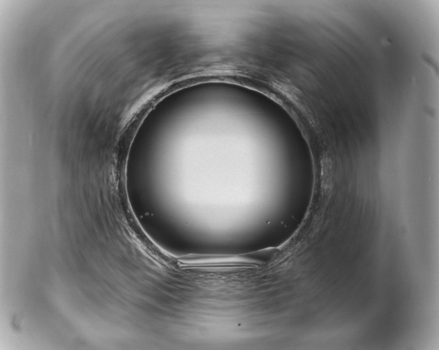 X0000102491452200808151444