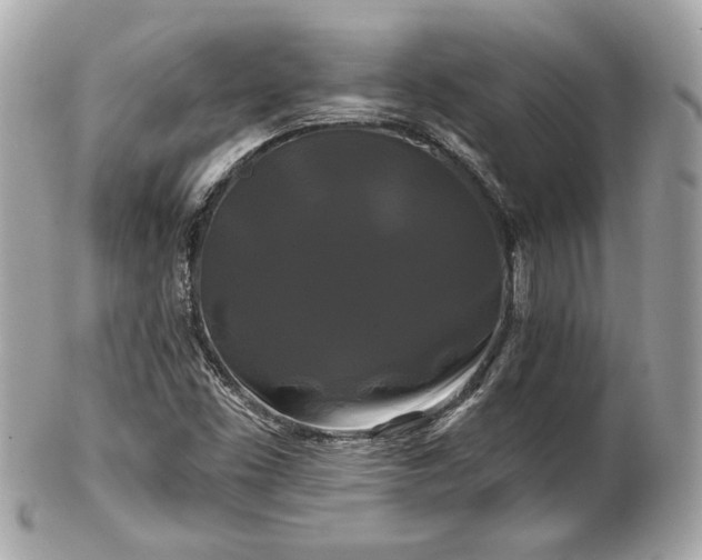 X0000102491453200808151444