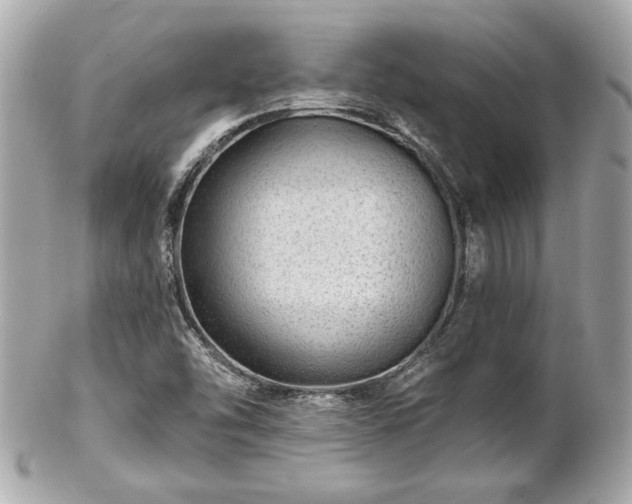 X0000102491454200808151444