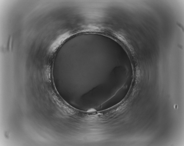 X0000102491455200808151444