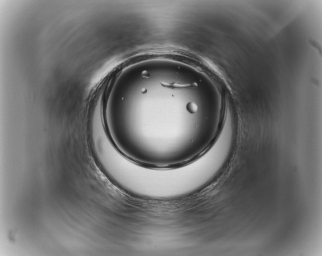 X0000102491456200808151444