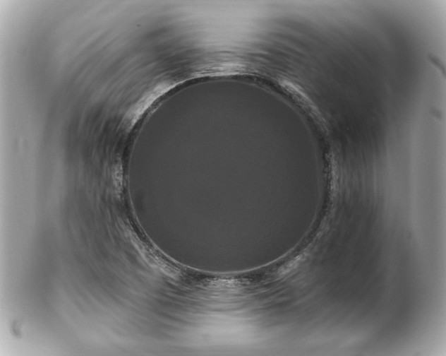 X0000102491457200808151444