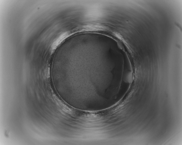 X0000102491459200808151444