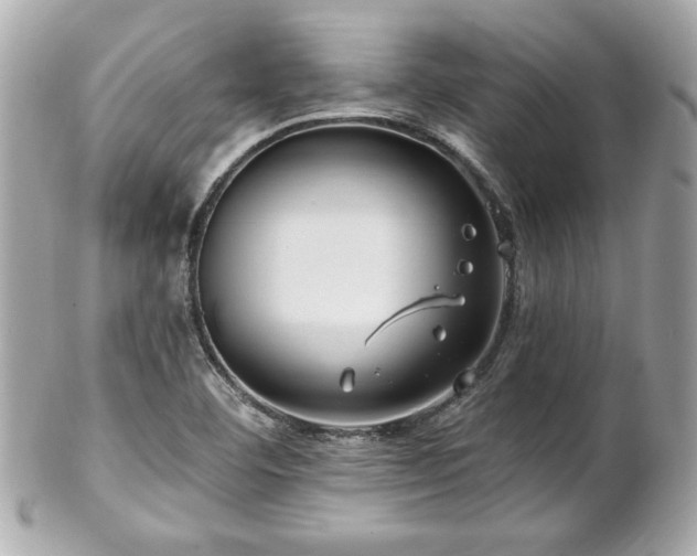 X0000102491460200808151444