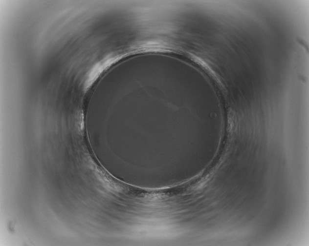 X0000102491461200808151444
