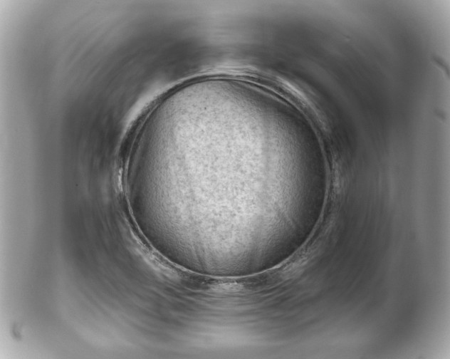 X0000102491462200808151444