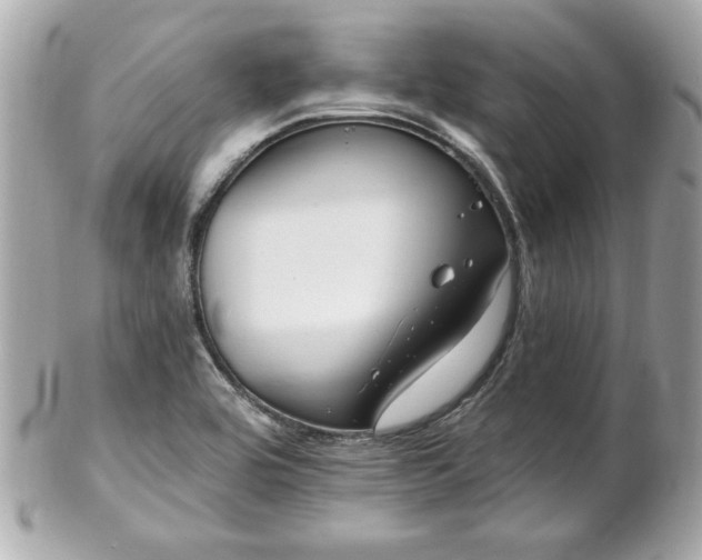 X0000102491464200808151444