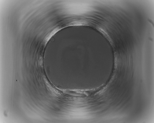 X0000102491465200808151444