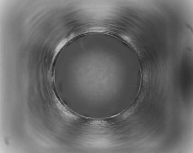 X0000102491466200808151444