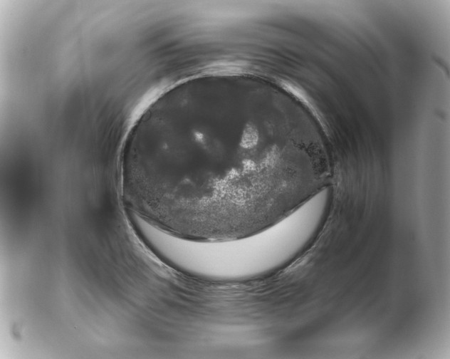 X0000102491467200808151444