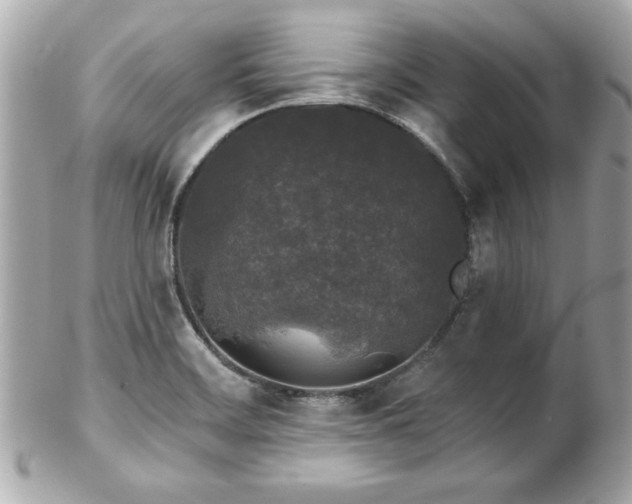 X0000102491468200808151444
