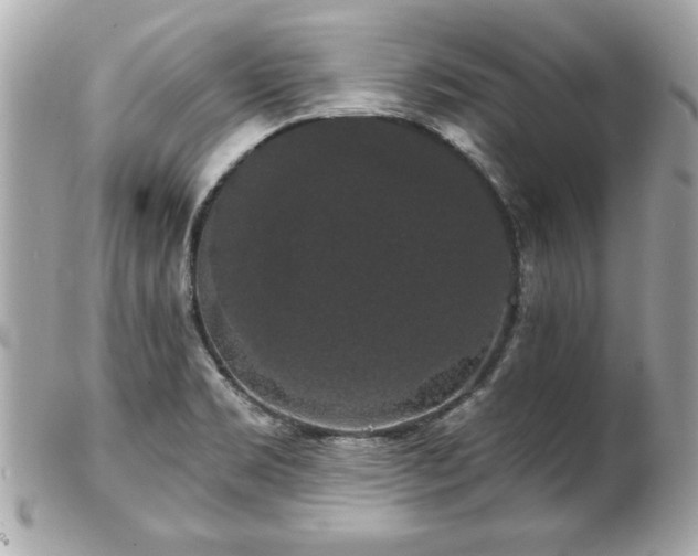 X0000102491469200808151444