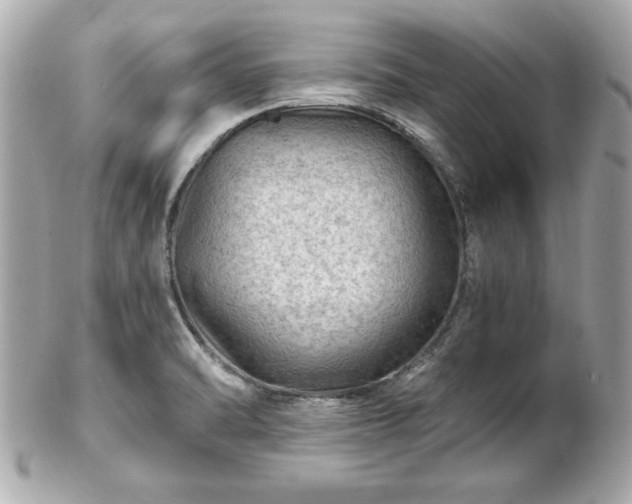 X0000102491470200808151444