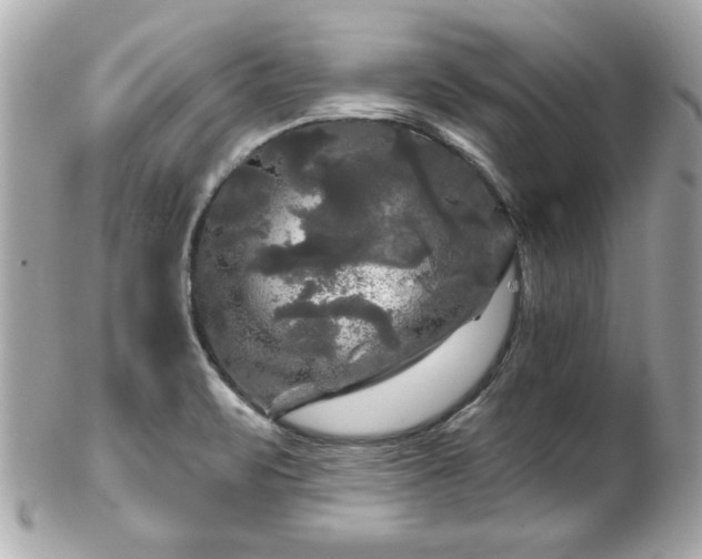 X0000102491471200808151444