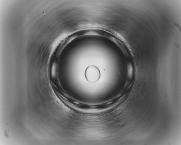 X0000102491472200808151444