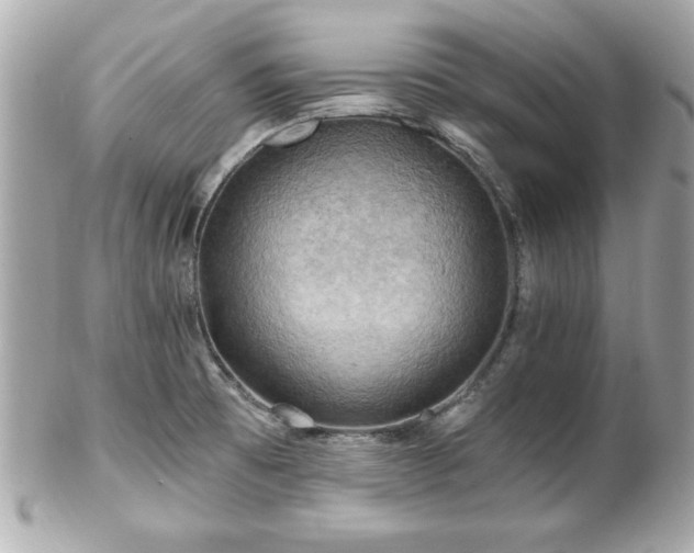 X0000102491473200808151444