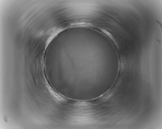 X0000102491474200808151444