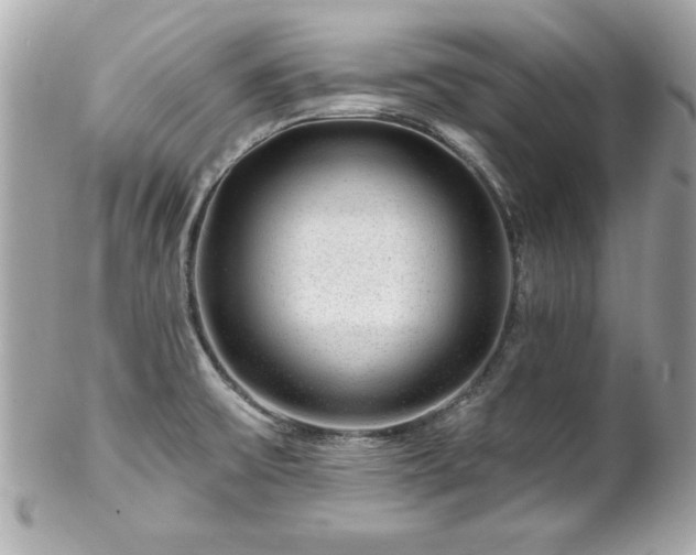 X0000102491475200808151444