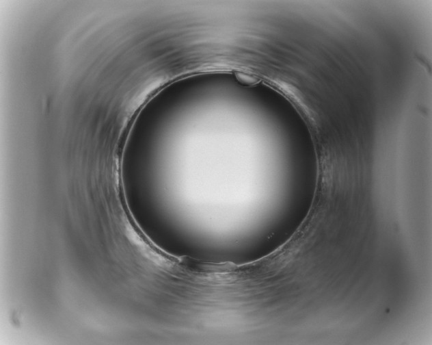 X0000102491476200808151444