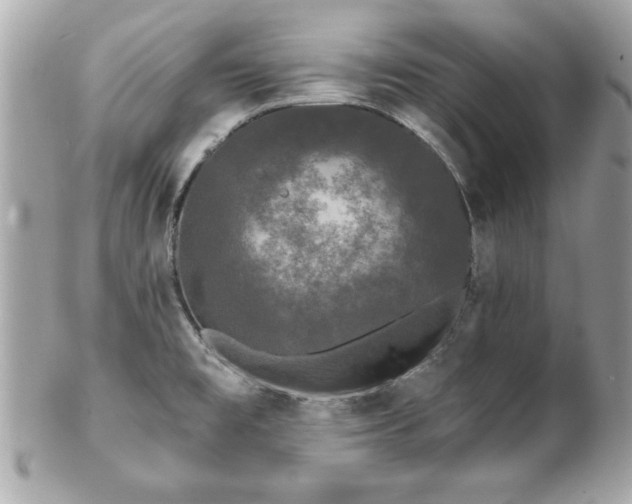 X0000102491477200808151444