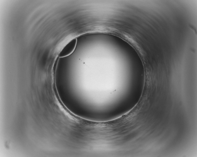 X0000102491479200808151444