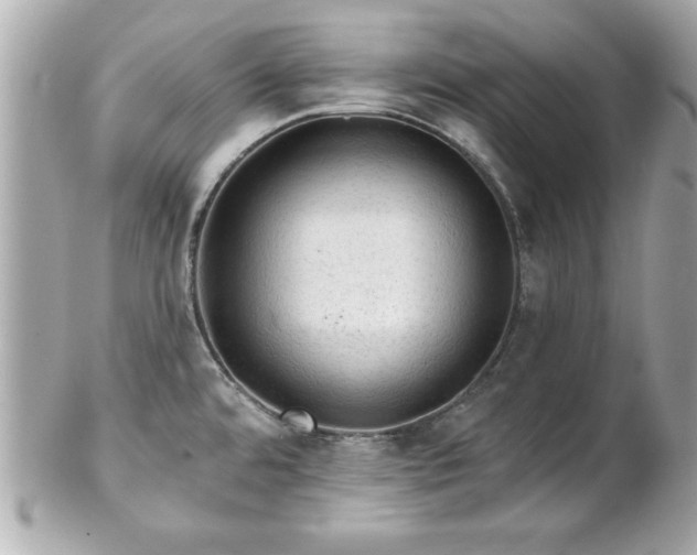 X0000102491480200808151444