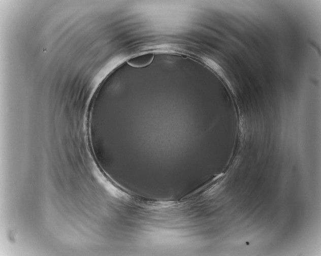 X0000102491482200808151444