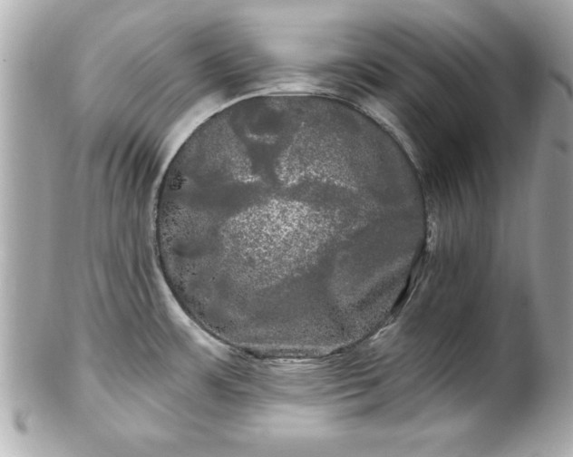 X0000102491483200808151444