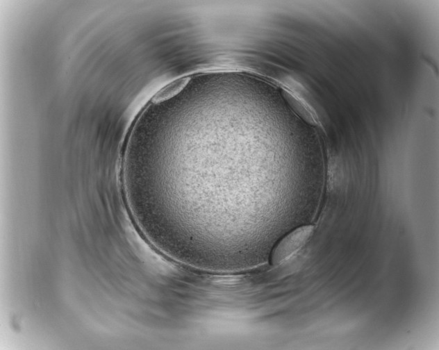 X0000102491484200808151444