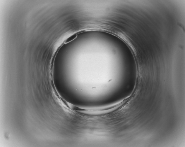 X0000102491485200808151444