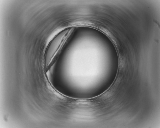 X0000102491486200808151444