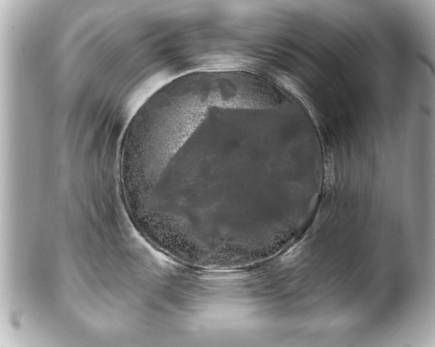 X0000102491487200808151444