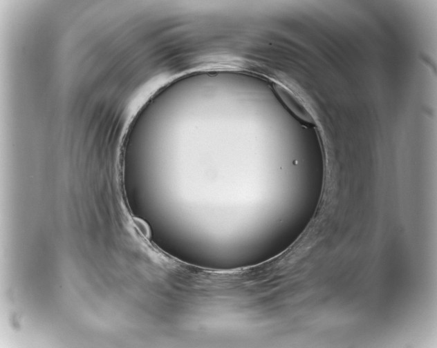 X0000102491488200808151444