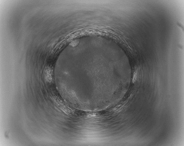 X0000102491490200808151443