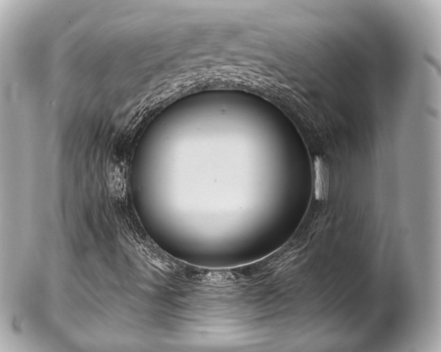 X0000102491491200808151443