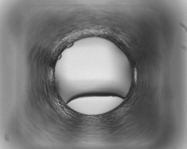 X0000102491492200808151443