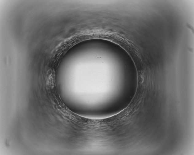 X0000102491493200808151443