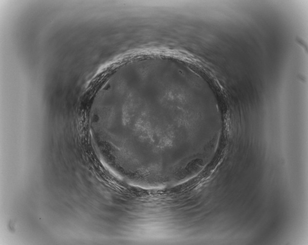 X0000102491494200808151443