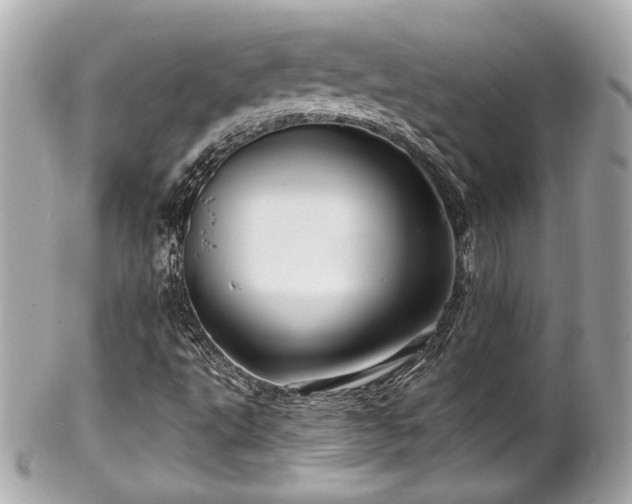 X0000102491495200808151443