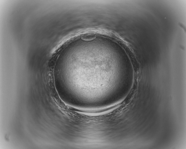 X0000102491496200808151443