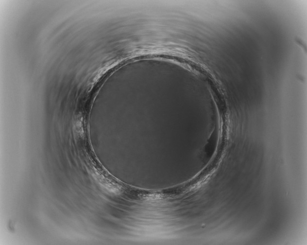 X0000102491497200808151443