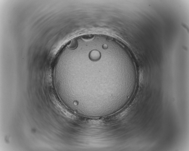 X0000102491498200808151443