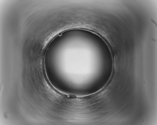 X0000102491500200808151443